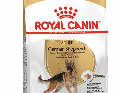 German Shepherd