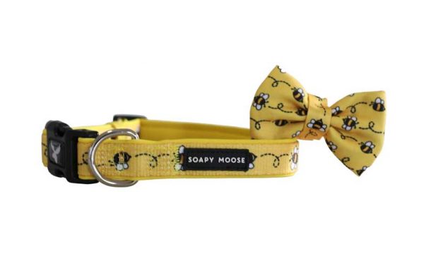 BUSY BEE DOG COLLAR