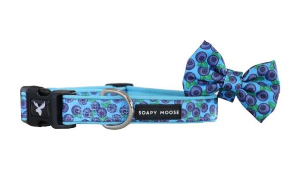 BLUEBERRIES DOG COLLAR