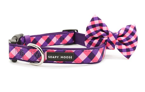 FASHIONISTA DOG COLLAR
