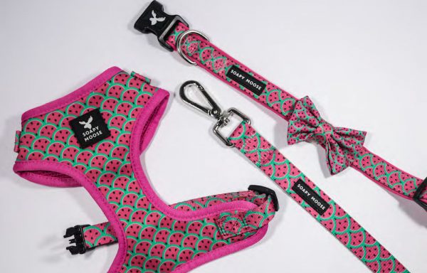 COLLARS + LEASHES, HARNESSES + BANDANAS & CAT COLLARS